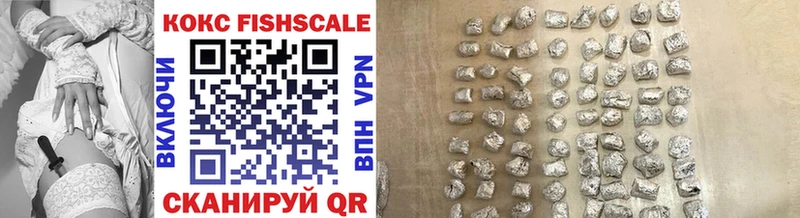 купить наркотики цена  hydra сайт  Cocaine Fish Scale  Новоузенск 
