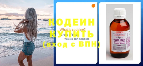дмт Пересвет