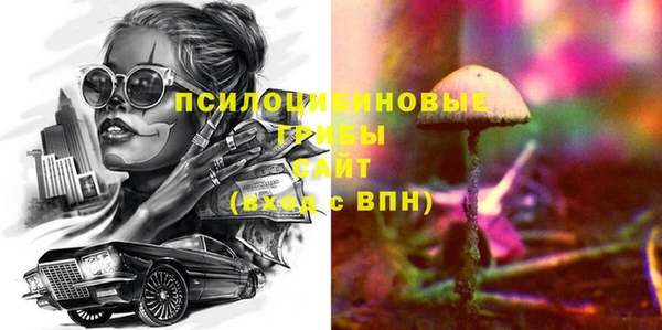 прущие крисы Алексеевка