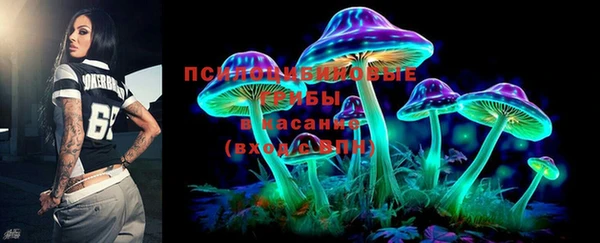 винт Алзамай