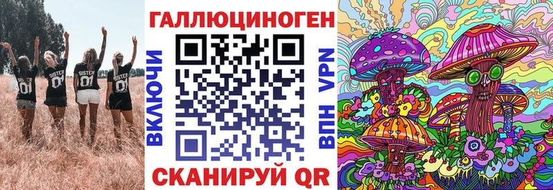 магазин    это формула  Псилоцибиновые грибы мухоморы  Новоузенск 